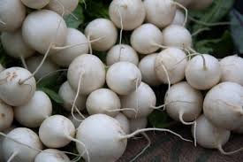 Fall white turnips