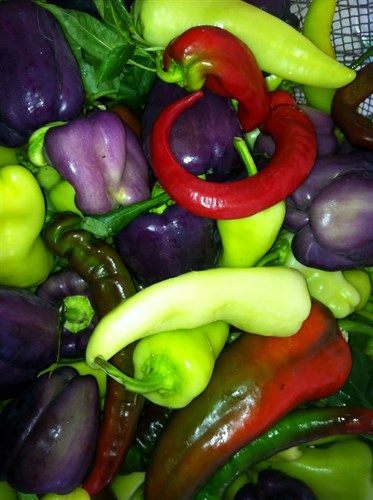 Mixed mild peppers