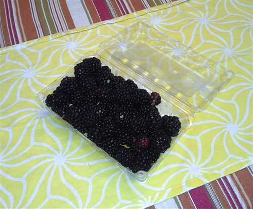 Blackberries