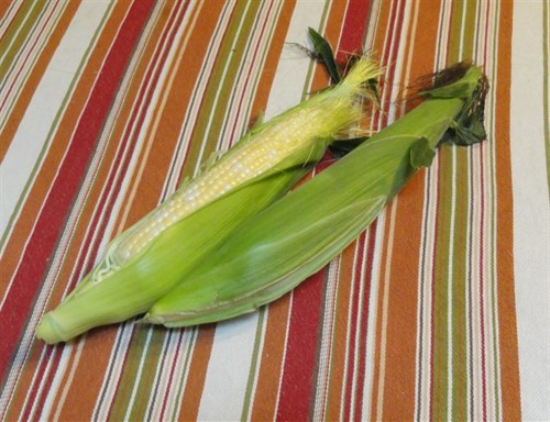 Sweet Corn Half Dozen