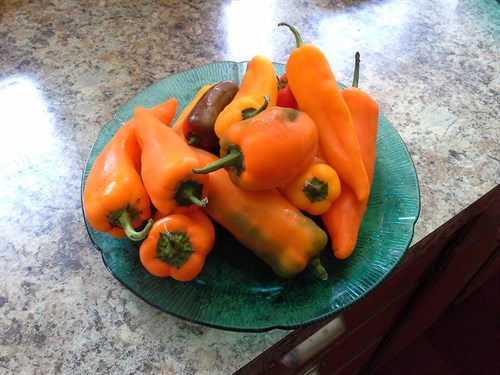 Sweet Peppers