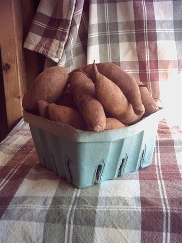 Sweet Potatoes, Fingerlings