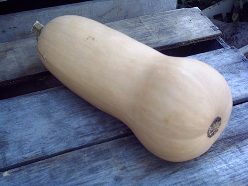 Squash,Butternut