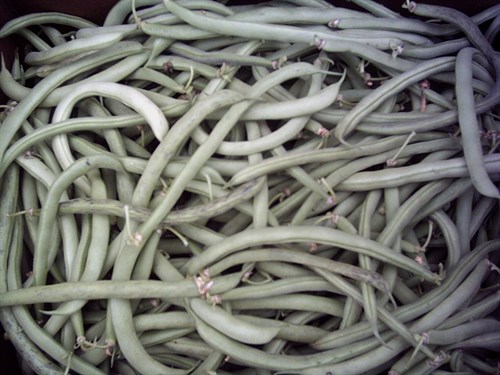 Beans, String Beans