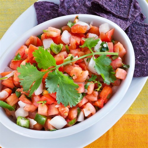 Cilantro Herb