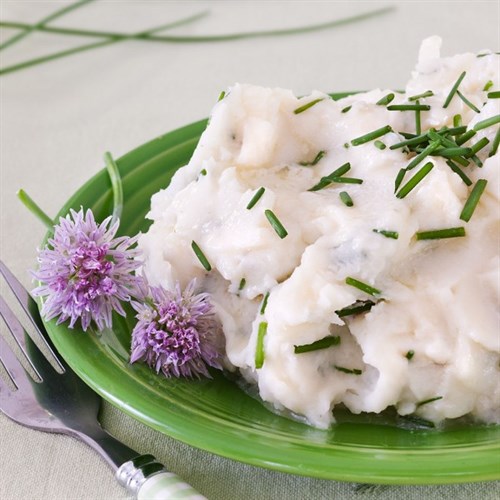 Garlic Chives Herb