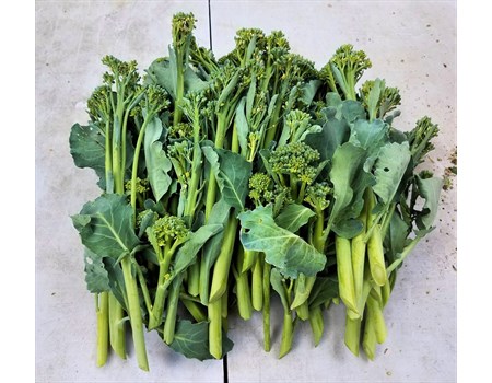 Broccolini