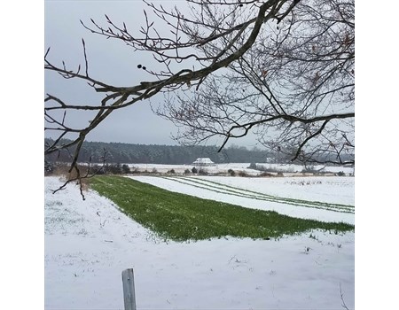 Cover crop winter 2019