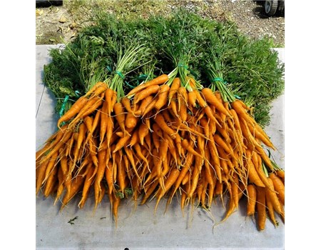 Carrots