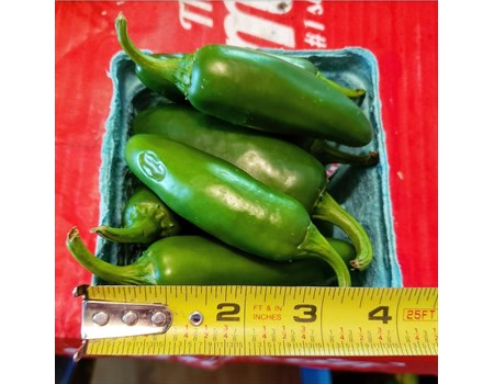 Jalapeños