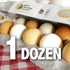 1 Dozen Pastured Farm Fresh Eggs