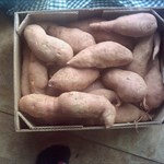 Sweet Potatoes 25 lb box