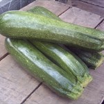 Zuchinni