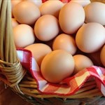 7x Nutrition - Farm Fresh Pastured SUPER Eggs
