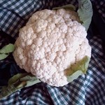 Cauliflower