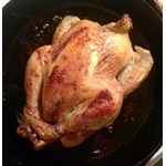 Peacemeal pastured chicken