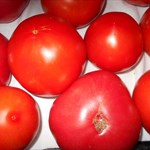 Tomatoes, Mixed Variety