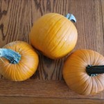 pie pumpkin