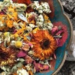 Healing flowers and herbs