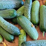 cucumbers snacking
