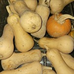 Butternut Second Rate