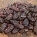 Roasted Cocoa Beans (The Mocha)