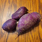 purple splendor sweet potatoes