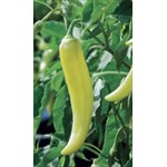 Sweet banana pepper