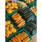 zucchini