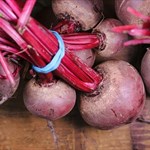 Bright, earthy beets fresh from our compost-fed soil