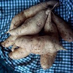 White Sweet Potatoes